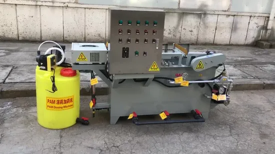 Équipement de traitement des eaux usées d'électrocoagulation de systèmes de purification d'eau de machine de flottation à air dissous par coagulation électrique potable 200lph