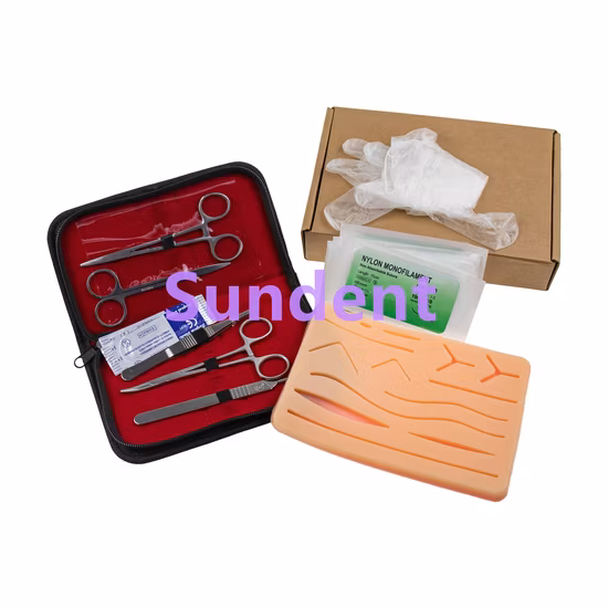 Pince hémostatique en plastique dentaire jetable de couleur bleue/Instruments chirurgicaux médicaux